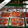 車中泊スポット【埼玉県】道の駅いちごの里よしみ