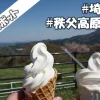 埼玉【観光スポット】秩父高原牧場 | 絶品ソフトクリームが味わえる
