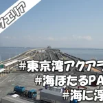 車中泊スポット【東京湾アクアライン】海ほたるPA（上下線同一施設）